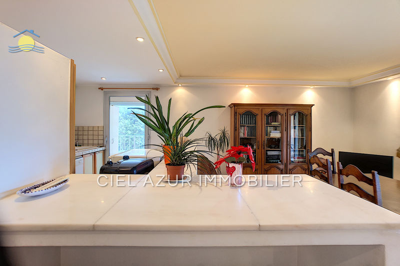 Vente Appartement Le cannet Appartement Le Cannet achat appartement 2 pièces 49 m²