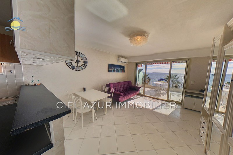 Vente Appartement Juan-les-pins Front de mer Appartement Juan-les-Pins Front de mer, achat appartement 1 pièce 28 m²