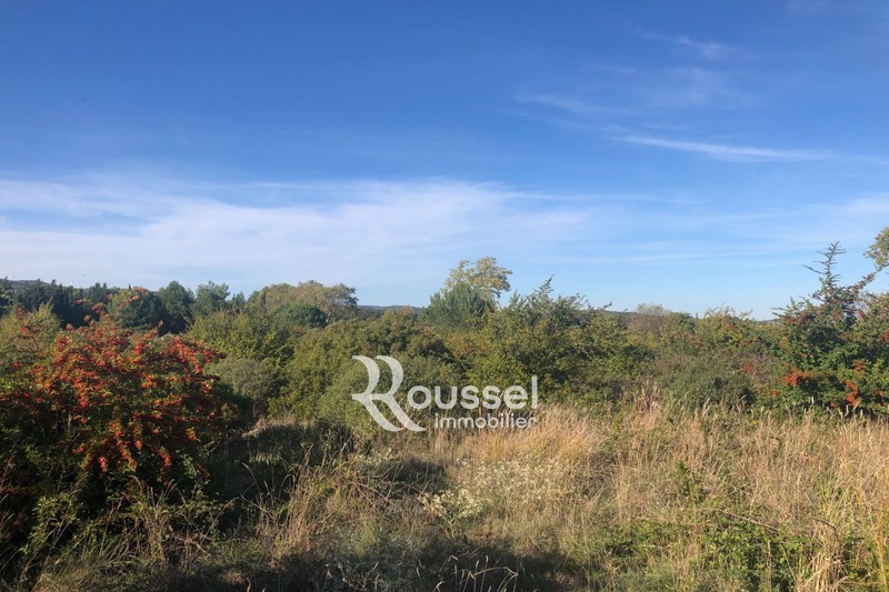 Vente terrain agricole Poussan  