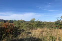 Vente terrain agricole Poussan  