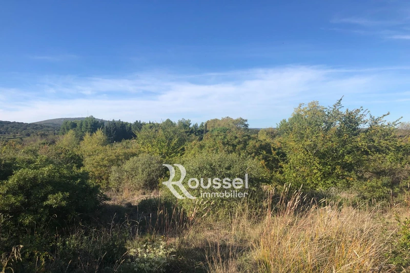 Vente terrain agricole Poussan  