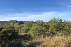 Vente terrain agricole Poussan  