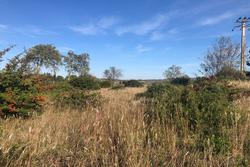 Vente terrain agricole Poussan  