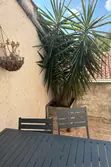 Vente maison vigneronne Poussan  