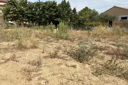 Vente terrain à bâtir Poussan  