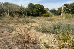 Vente terrain à bâtir Poussan  