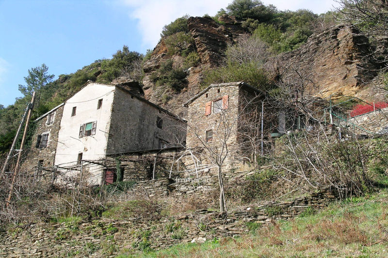 Photo Mas Alès Ales, to buy mas 4 bedroom 280 m²