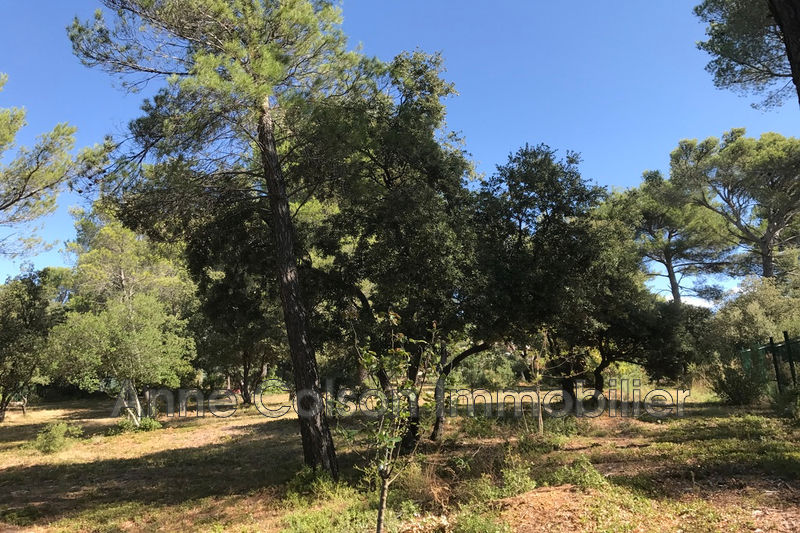 Photo Building plots Aix-en-Provence to buy building plots 3356 m²