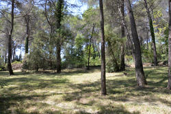 Photos Terrain à vendre Roquefort-les-Pins 06330