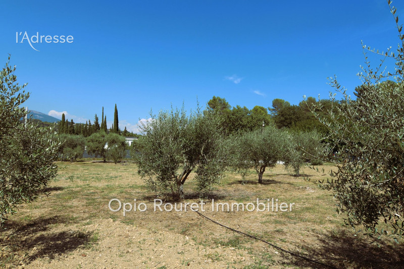 Vente terrain Châteauneuf-Grasse  