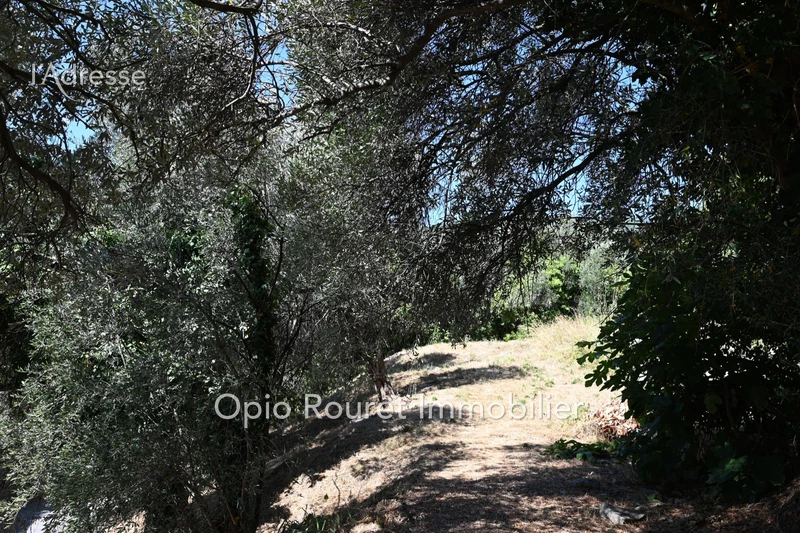 Vente terrain Magagnosc  