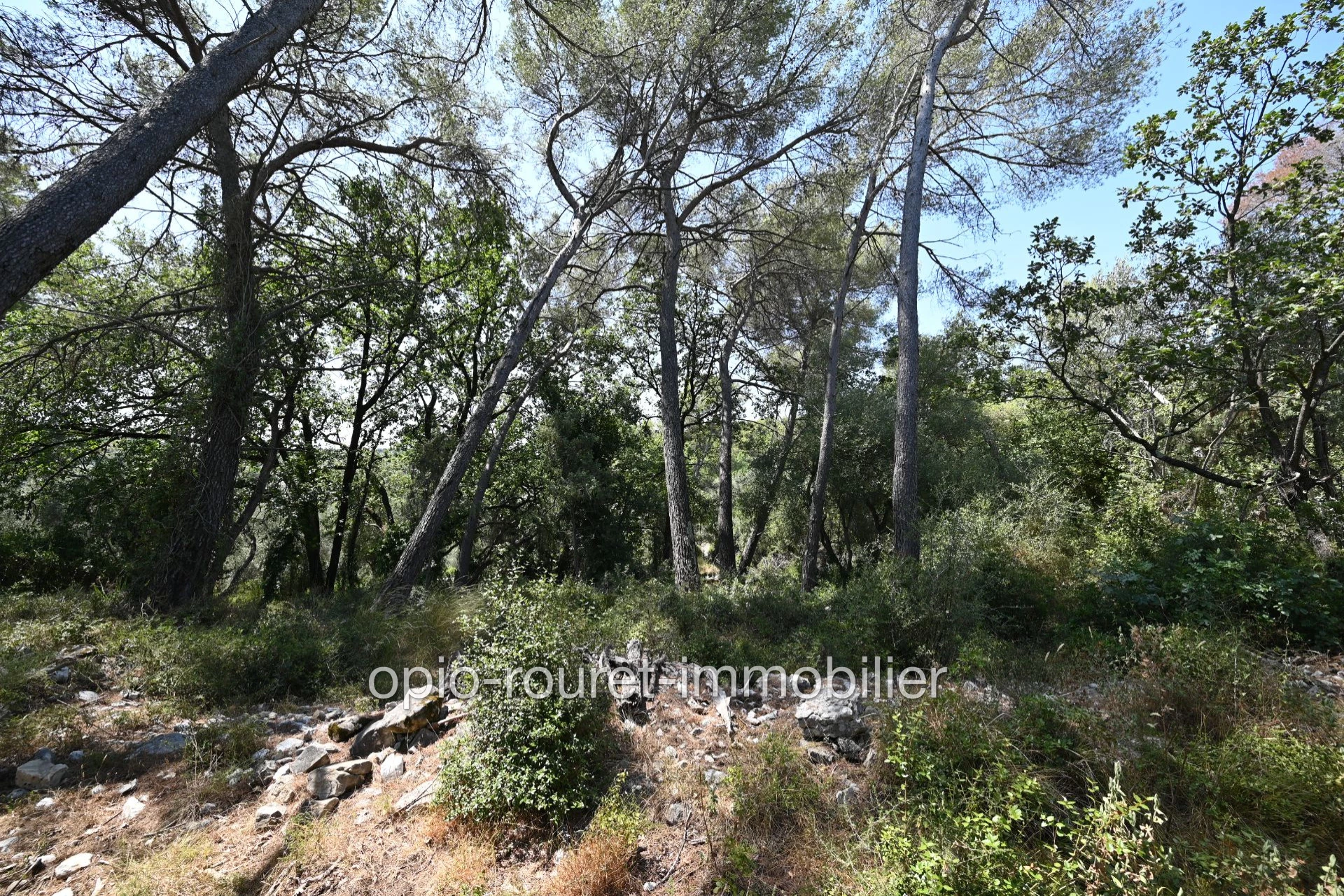 Roquefort-les-pins résidentiel de campagne terrain 2500 m · 495 000 €