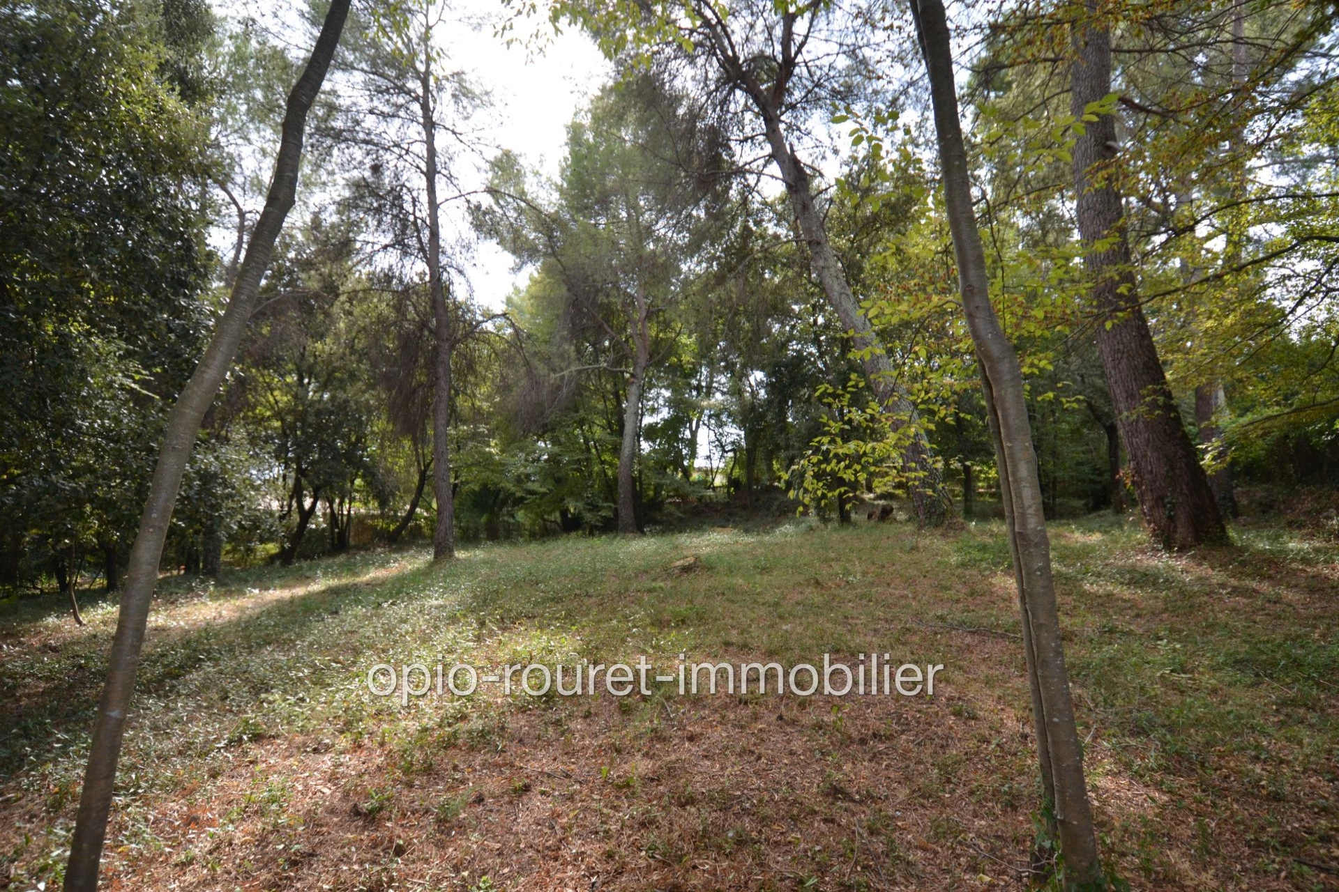 Terrain 1694 m² · à Roquefort-les-Pins · 1 694 m² · 440 000 €