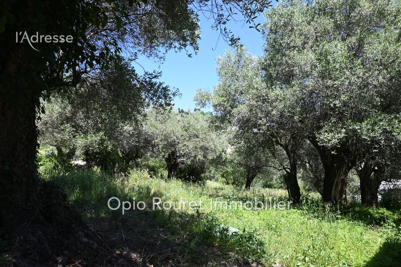 Vente maison Opio  