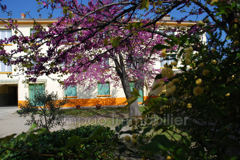 Photo Idéal investisseur Le Boulou Centre-ville, achat idéal investisseur 22 chambres 876 m²