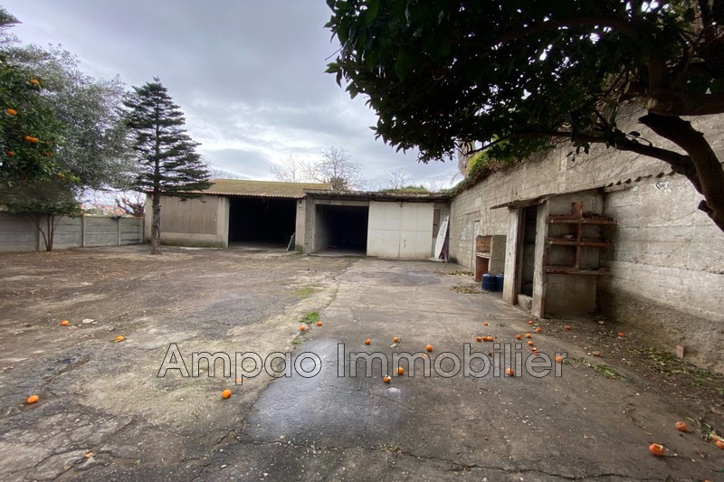 Photo Terrain Perpignan Bord de ville, achat terrain 1200 m²