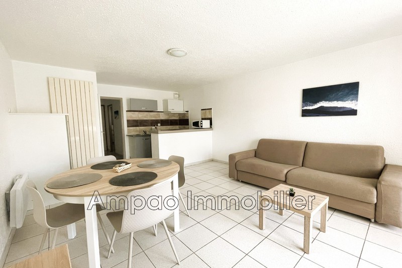 Photo Appartement Canet-en-Roussillon Bord de mer,   achat appartement  2 pièces   40&nbsp;m&sup2;