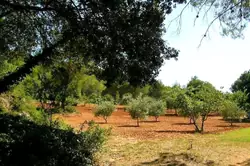 Vente propriété Aix-en-Provence  