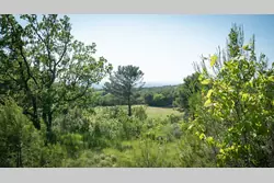 Vente propriété L'Isle-sur-la-Sorgue  