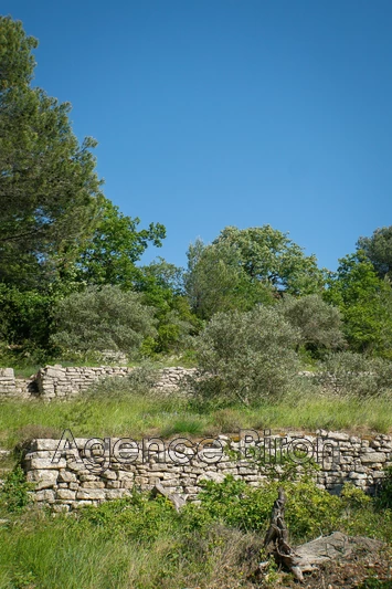 Vente propriété L'Isle-sur-la-Sorgue  
