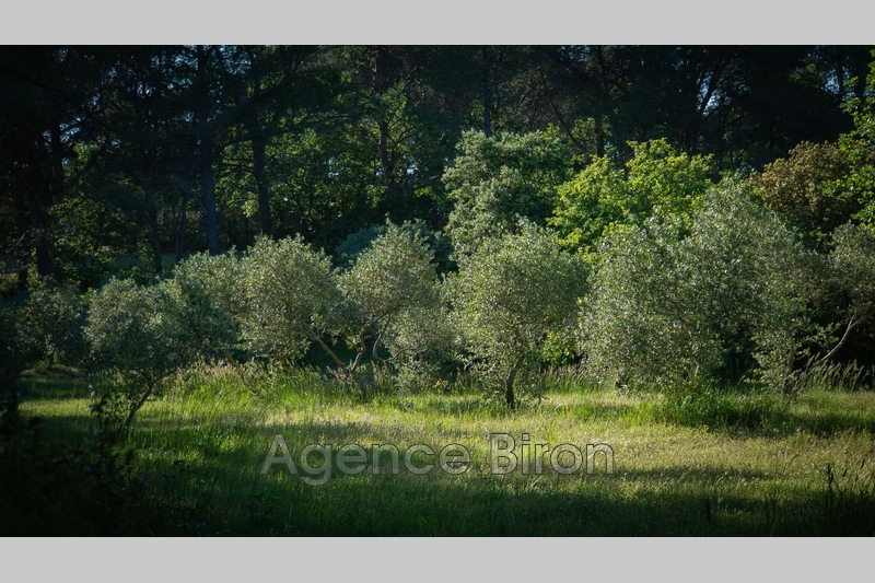 Vente propriété L'Isle-sur-la-Sorgue  