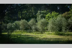 Vente propriété L'Isle-sur-la-Sorgue  