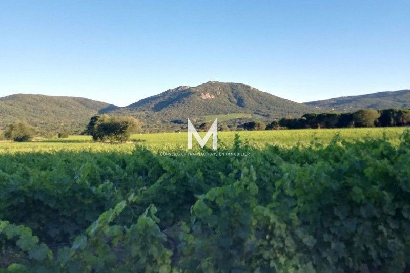 Photo n°2 - Vente terrain Le Plan-de-la-Tour 83120 - 310 000 €