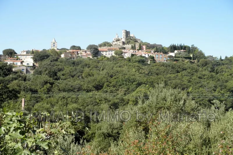 Vente villa provençale Grimaud  