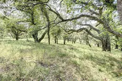 Photos  Terrain à vendre Grimaud 83310