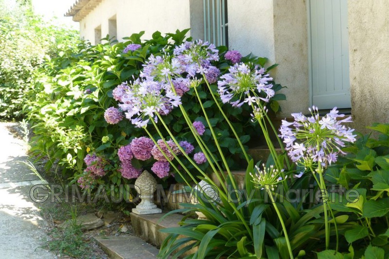Photo n°6 - Vente Maison villa provençale Grimaud 83310 - 1 260 000 €