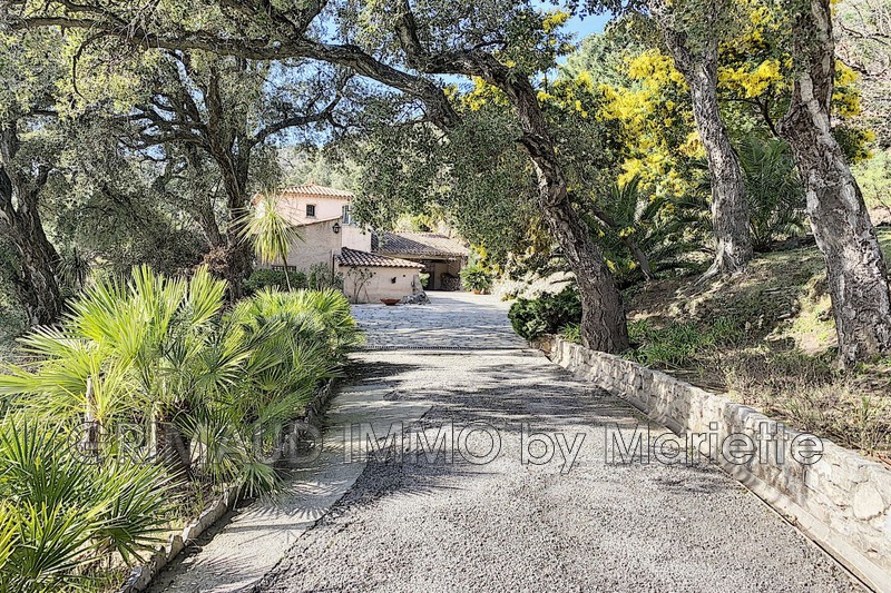 Photo n°4 - Vente Maison villa provençale La Garde-Freinet 83680 - 2 995 000 €