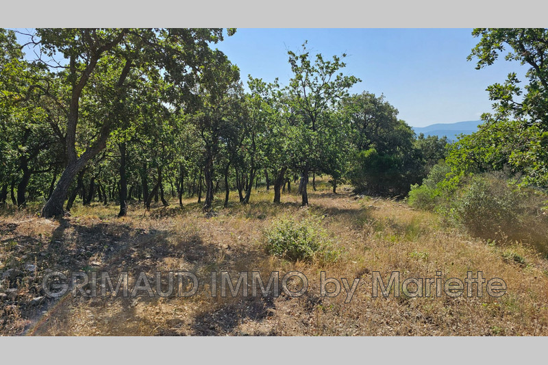 Photo n°3 - Vente terrain non constructible Grimaud 83310 - 60 000 €