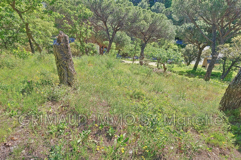 Photo n°6 - Vente terrain Grimaud 83310 - 430 000 €