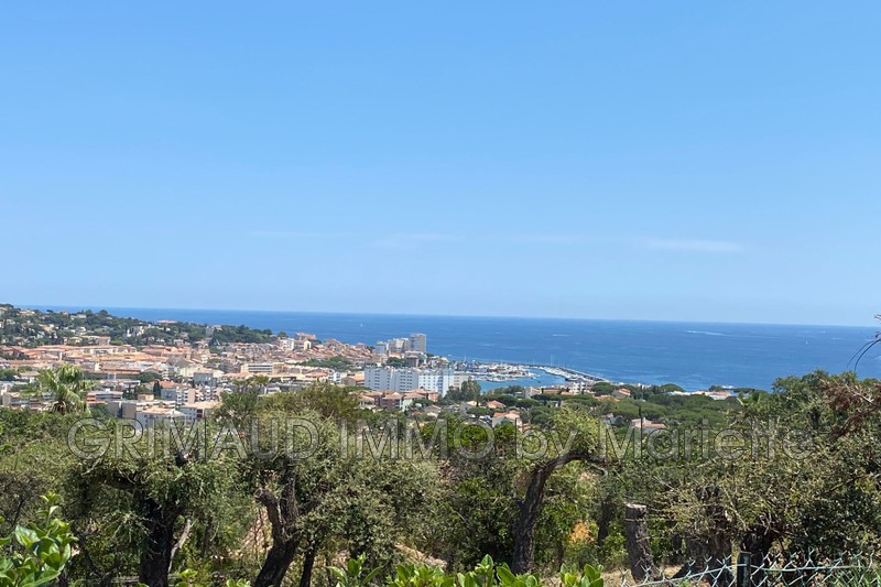 Photo n°2 - Vente Maison villa Sainte-Maxime 83120 - 2 700 000 €