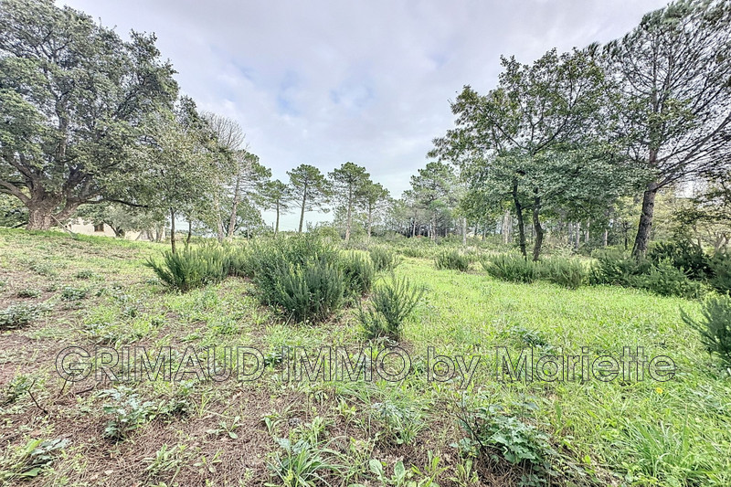 Vente terrain Grimaud  