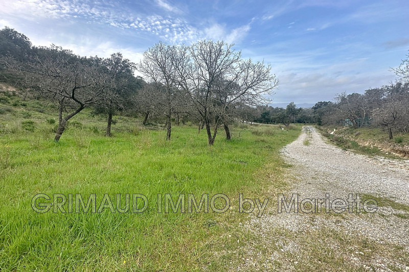 Photo n°2 - Vente terrain Grimaud 83310 - 900 000 €