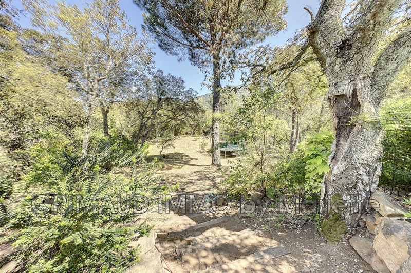 Photo n°8 - Vente maison de campagne La Môle 83310 - 1 265 000 €