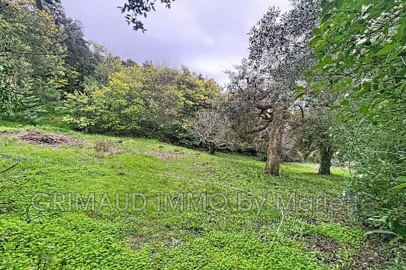 Vente maison Grimaud  