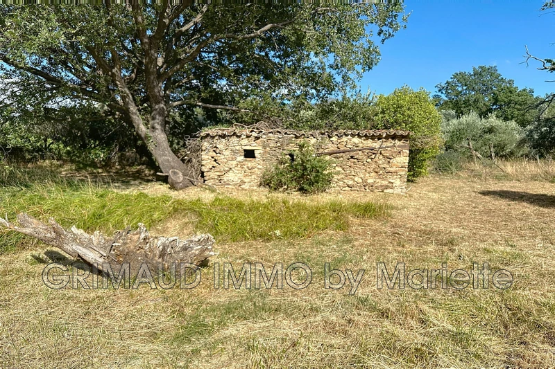 Photo n°4 - Vente maison La Garde-Freinet 83680 - 1 190 000 €