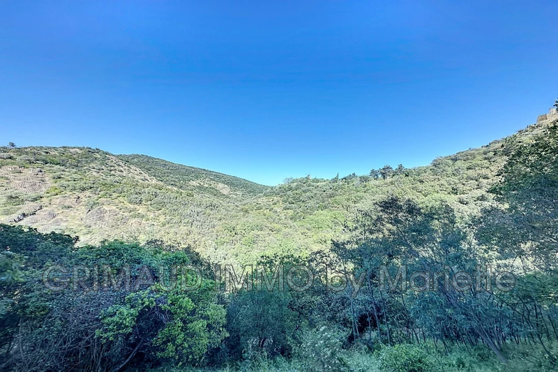Vente maison Grimaud  