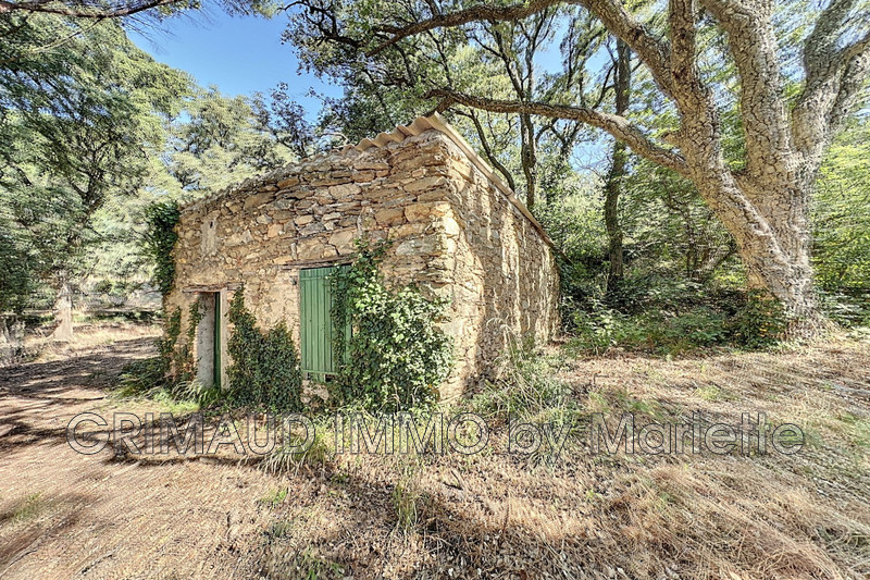 Vente villa La Garde-Freinet  