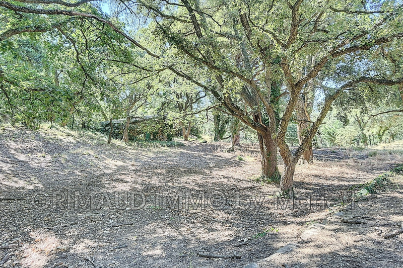 Vente villa La Garde-Freinet  