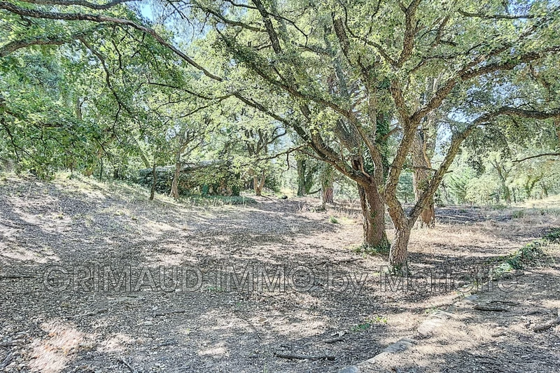 Vente villa La Garde-Freinet  