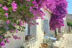Photos  Maison de village à vendre Grimaud 83310