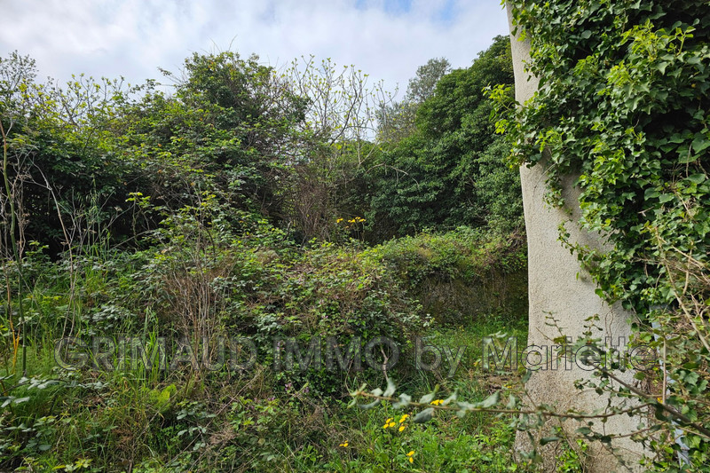 Photo n°2 - Vente maison La Garde-Freinet 83680 - 399 000 €