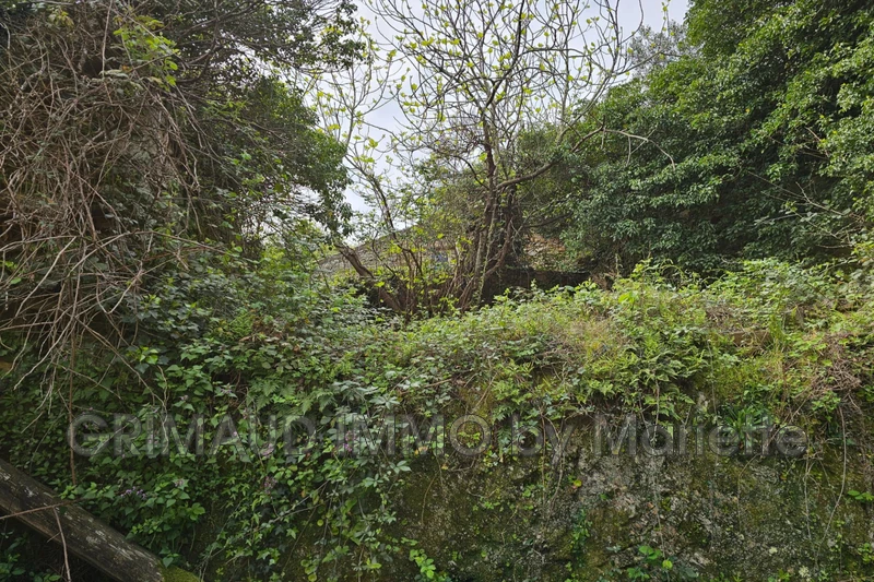 Photo n°4 - Vente maison de hameau La Garde-Freinet 83680 - 399 000 €