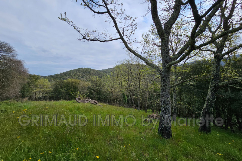 Photo n°6 - Vente maison La Garde-Freinet 83680 - 399 000 €