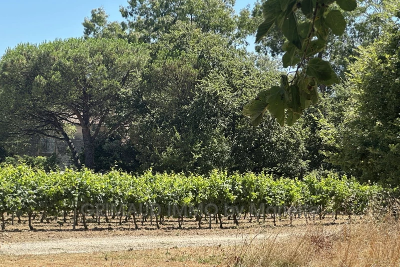 Vente maison Grimaud  