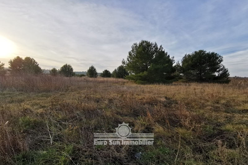 Photo Terrain Nissan-lez-Enserune achat terrain 15435 m²