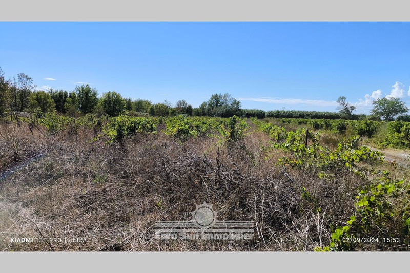 Photo Land Poilhes   to buy land   3176&nbsp;m&sup2;